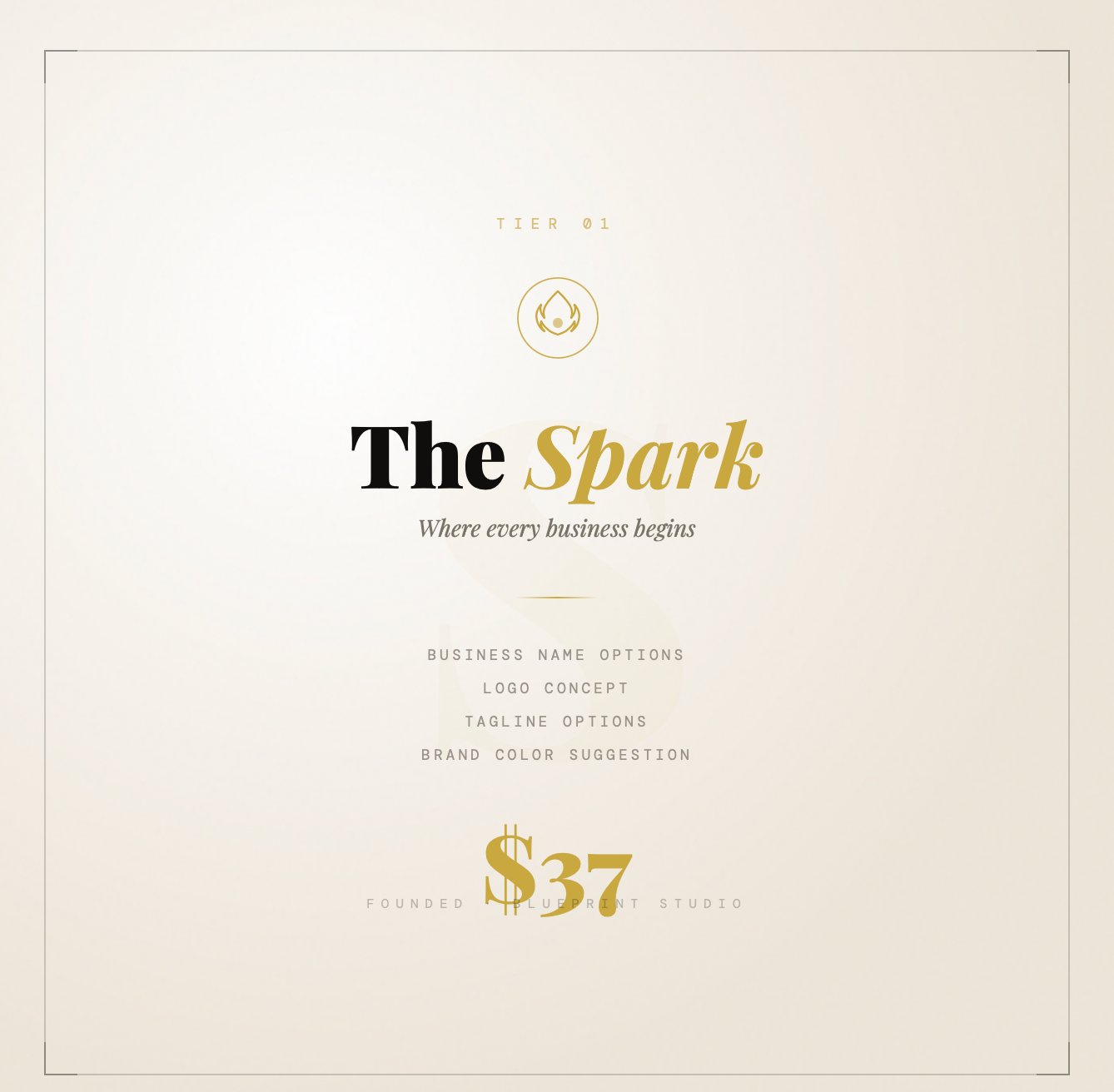 The Spark